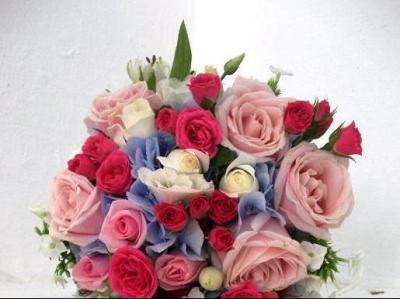 thumb_313586_2507580212605_1968428783_n (1)